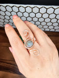 Guardian Eye Coil Rings