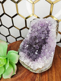 Amethyst Cluster ( Large) #8