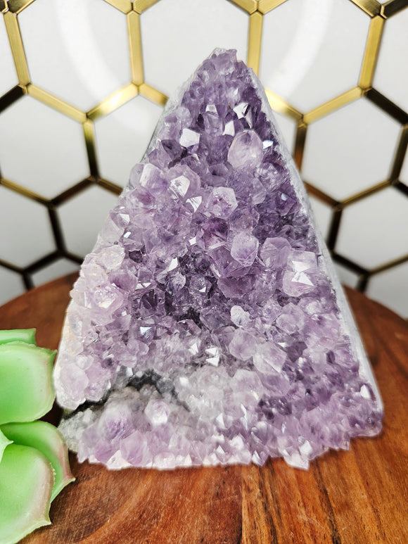 Amethyst Cluster ( Large) #7