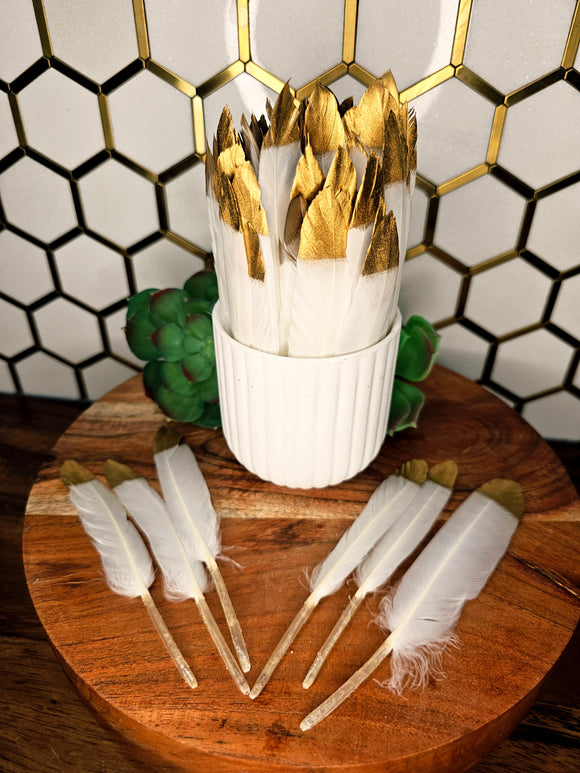 Feather with Gold Tip