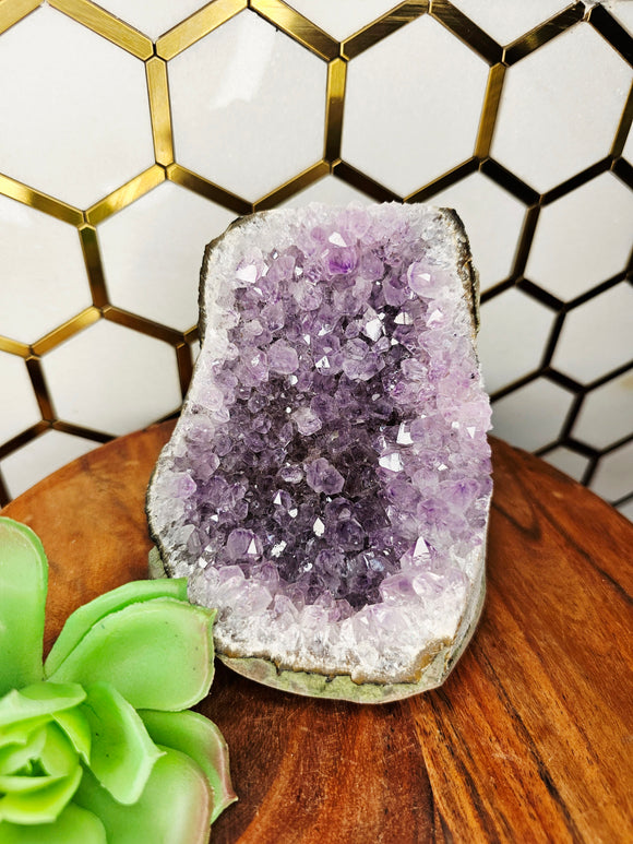 Amethyst Cluster ( Large) #8