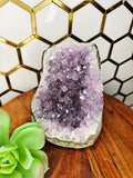 Amethyst Cluster ( Large) #8
