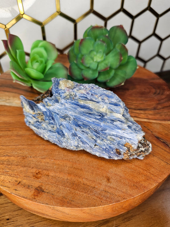 XL Blue Kyanite