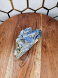 Large Blue Kyanite